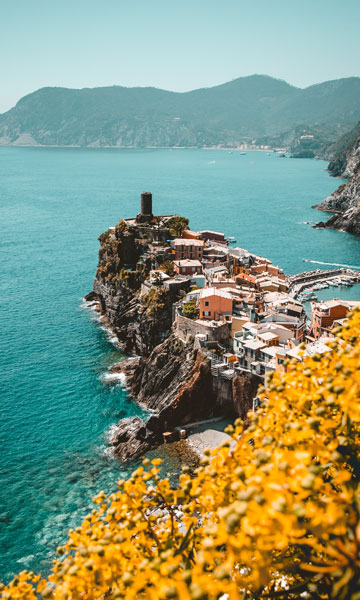 Fotografia del promontorio di corniglia dall'alto, con uno scorcio su brillanti fiori gialli