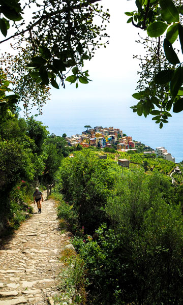 immagine dall'alto di un sentiero che scende fino ad un promontorio sul mare